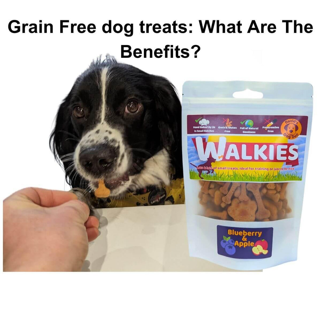 What Are the Benefits of Grain-Free for A Dog? - David's Dog Deli