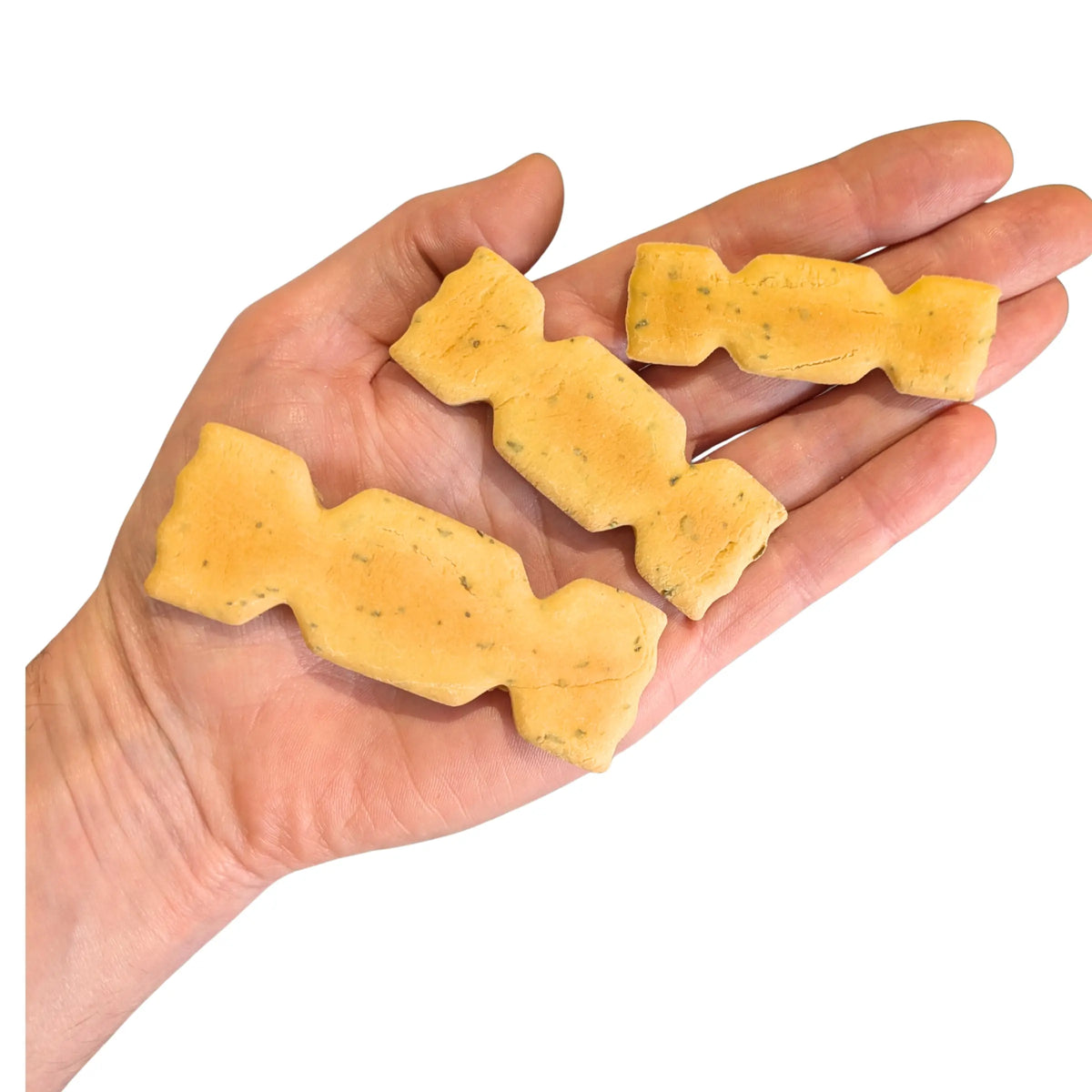 Cheezy Christmas dog biscuits in cracker shapes