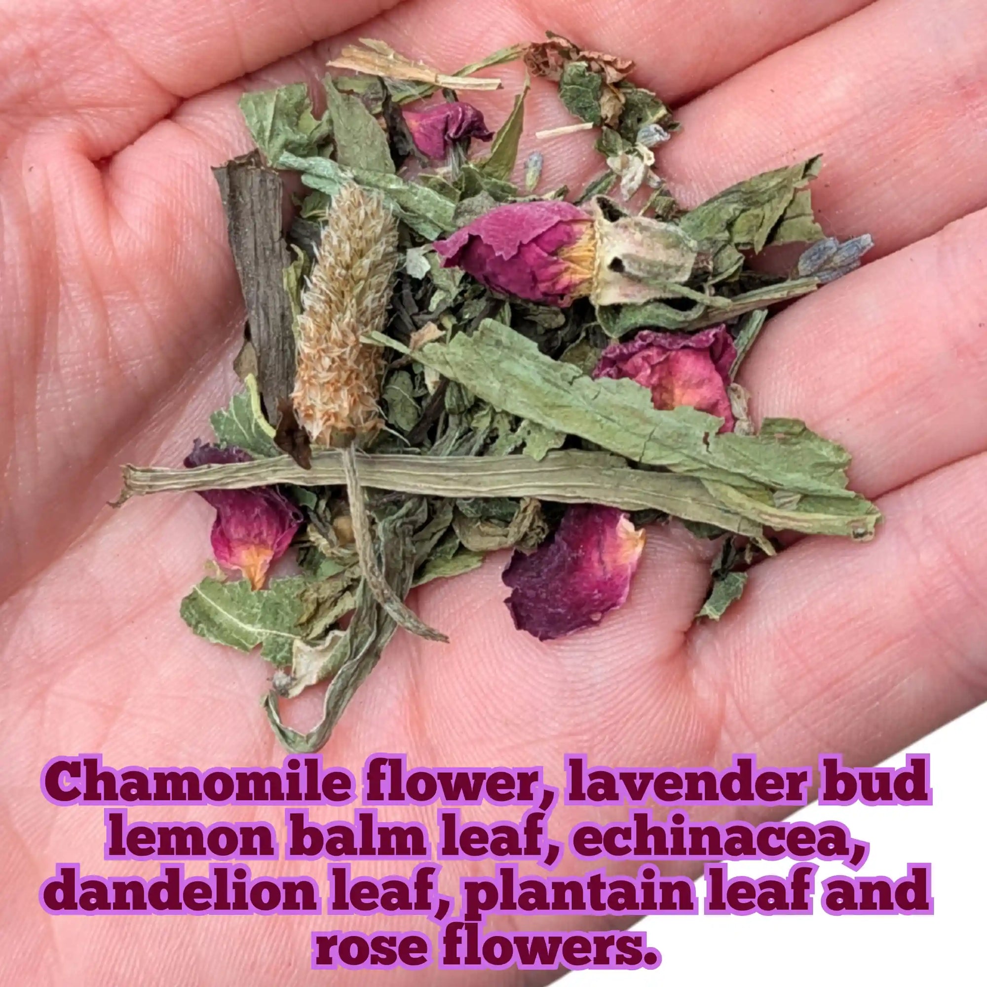 A close-up of a hand holding a small pile of loose dried herbal ingredients, including green leaves, pink-purple chamomile and rose flowers, and tan balm pieces. Text at the bottom lists the ingredients: chamomile flower, lavender bud, lemon balm leaf, echinacea, dandelion leaf, plantain leaf, and rose flowers.