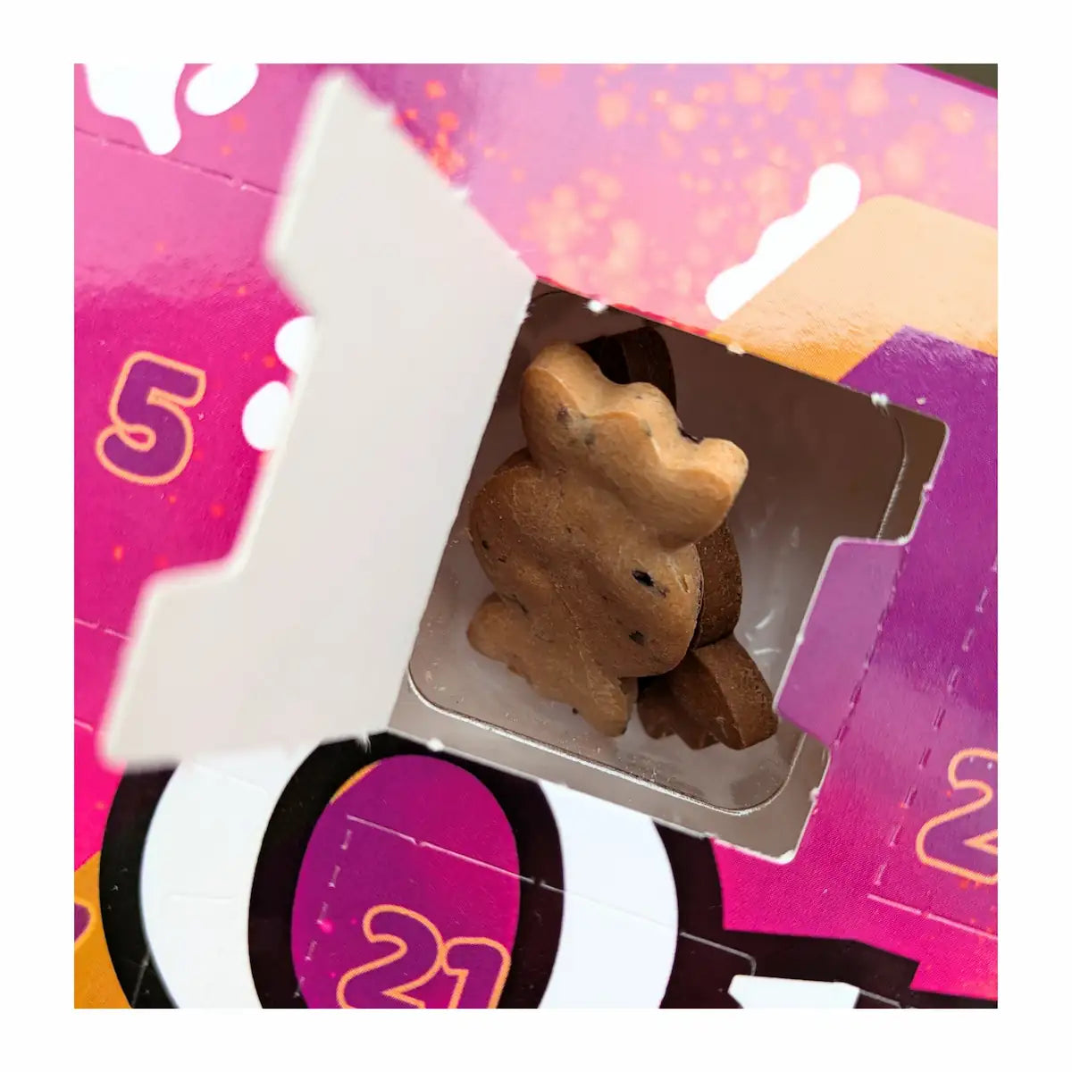 dog advent calendar – Quality Treats open window