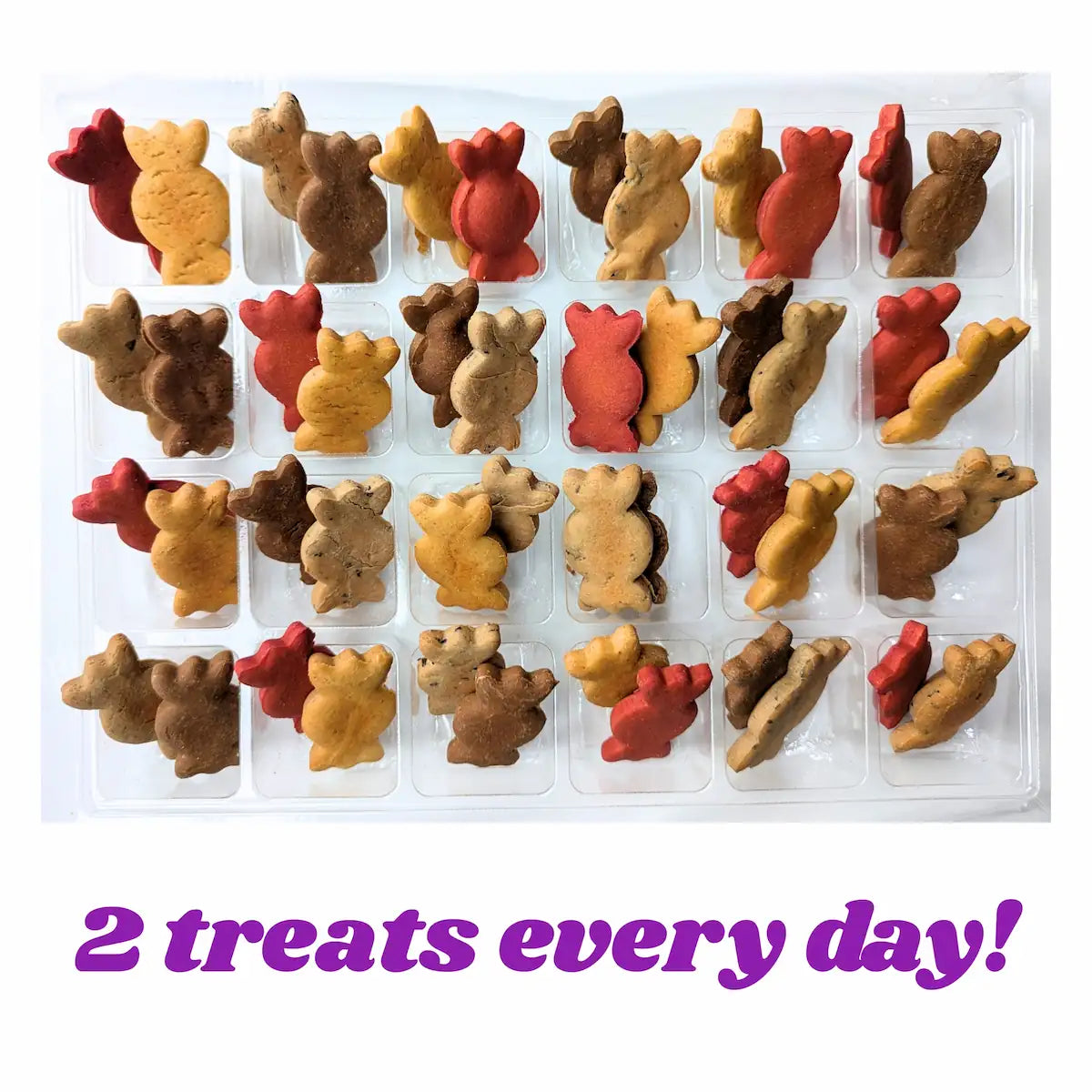 dog advent calendar – Quality Treats open box