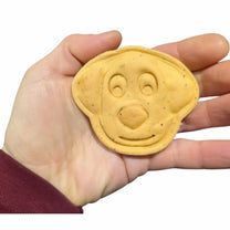 Large hypoallergenic dog biscuits - Biscuit in a hand