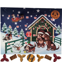 Christmas dog advent calendar with dog biscuits