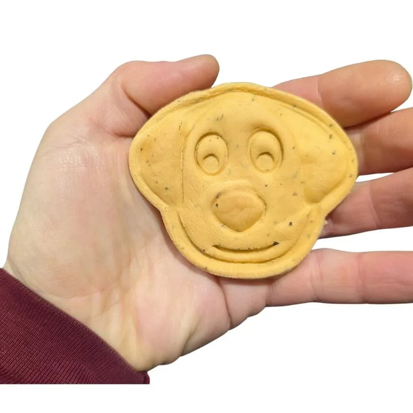 Large Dog Face Biscuits: 5 Flavours - Hypoallergenic & Grain - Free & Vegan - David's Dog Deli