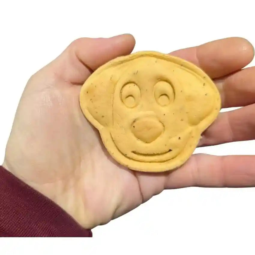 large dog biscuit in a hand