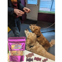 Two dogs looking up at a person holding treats, with a bag of dog treats in the foreground.