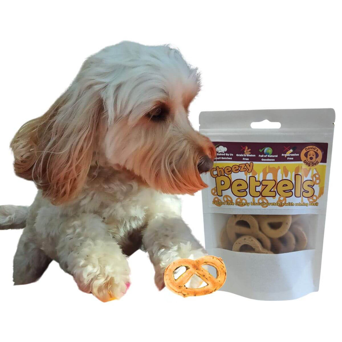 Benefits of Coconut Oil for Dogs