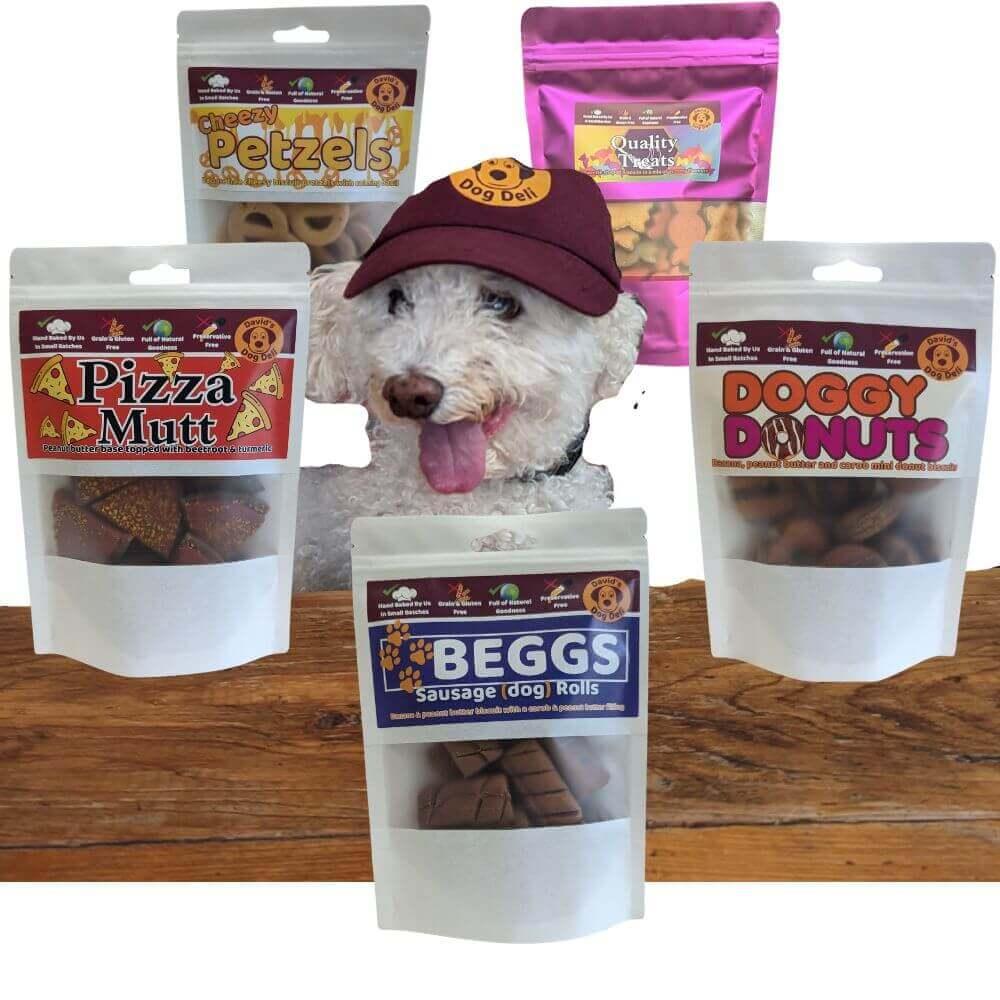 Fun Novelty Dog Treats - David's Dog Deli