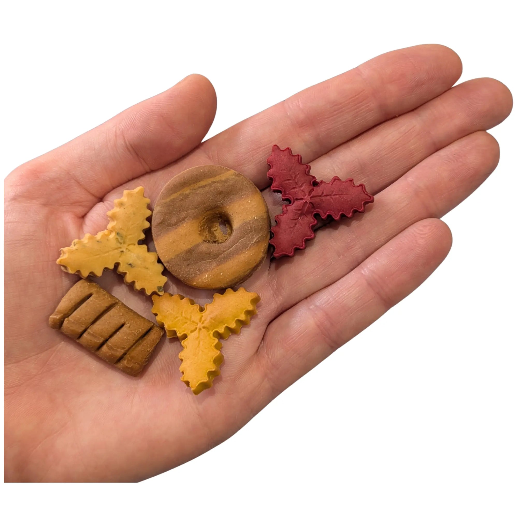 Christmas dog treats in a hand