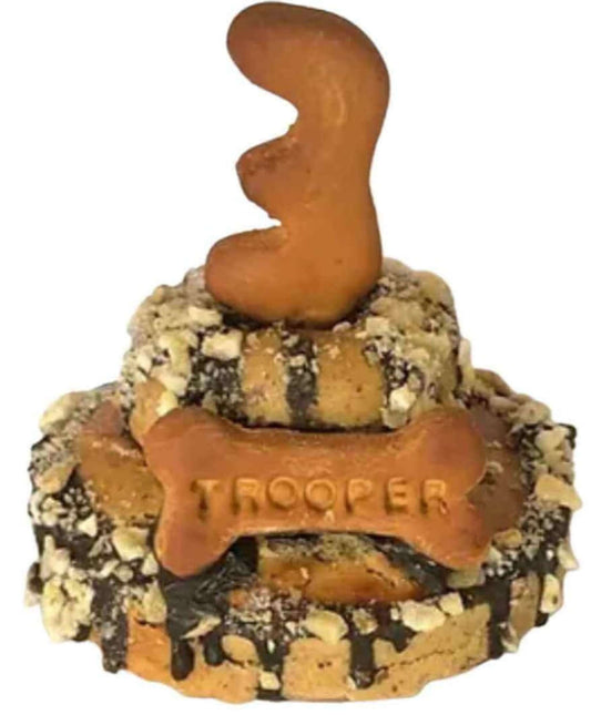 Dog birthday cake. Soft peanut butter & banana. Newcastle area