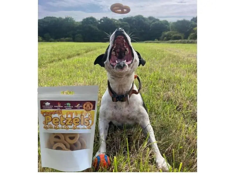 Dog with catching a luxury dog treats