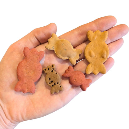 Five small dog treats shaped like sweeties resting in a person's open palm against a white background.
