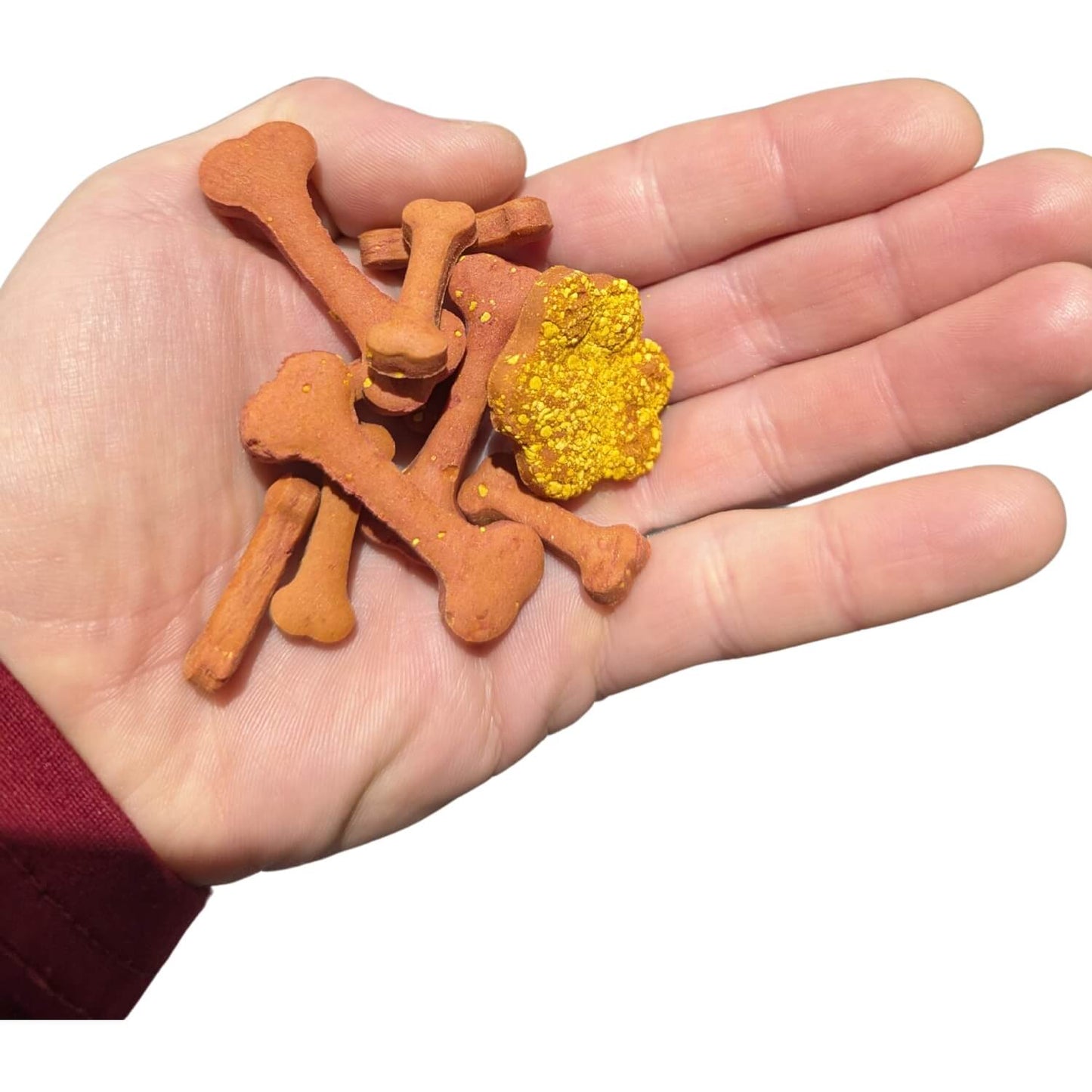 Walkies - vegan dog treats, beetroot turmeric & coconut oil, biscuitys in a hand